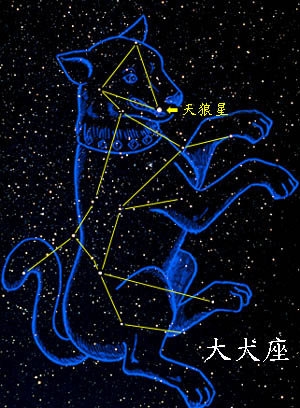 大犬座