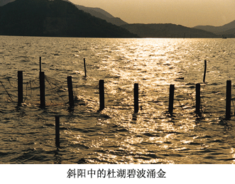 碧波涌金