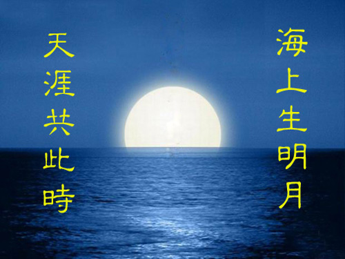 中秋节图片