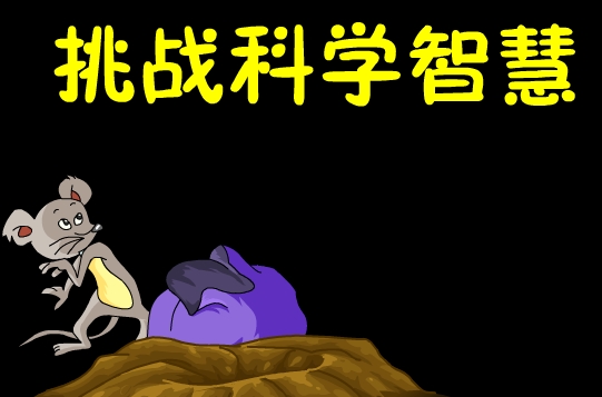 wawayaya全集