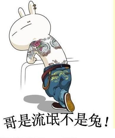 哥是流氓不是兔