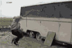 谁怕谁