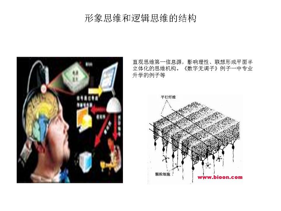 以学科结构提高教学质量，用思维结构培养创新人才