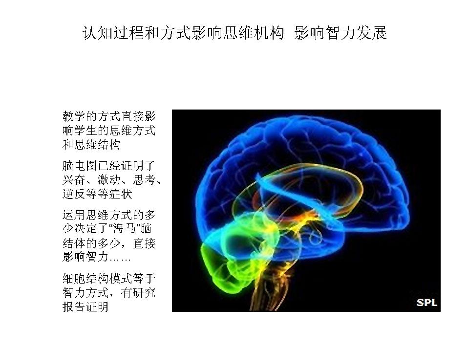 以学科结构提高教学质量，用思维结构培养创新人才