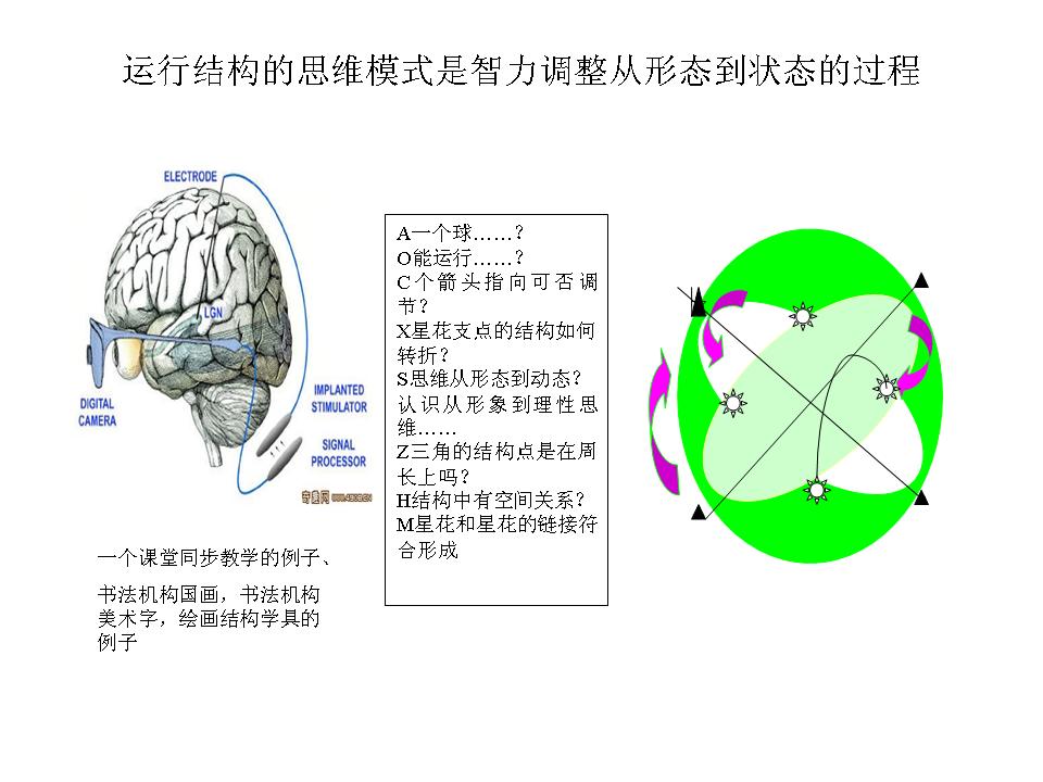 以学科结构提高教学质量，用思维结构培养创新人才