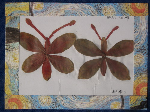 美丽的树叶拼贴画-蝴蝶