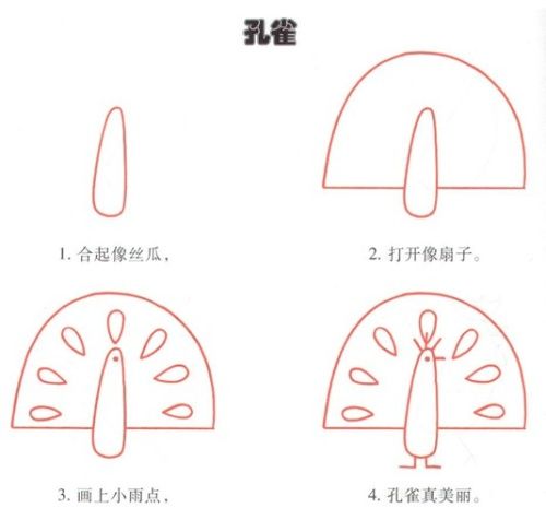 简笔画孔雀,儿童画孔雀